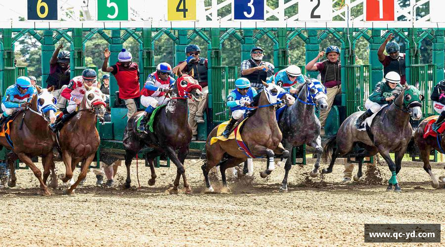 wedvictor伟德官方网站追求卓越，赢得尊重！